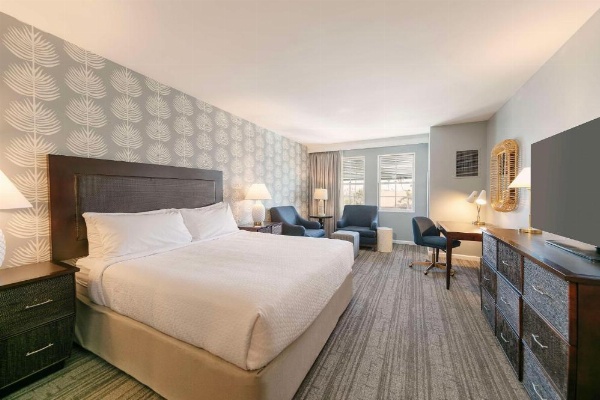 Jamaica Bay Inn Marina Del Rey Tapestry Collection by Hilton image 14