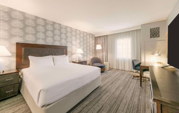 Jamaica Bay Inn Marina Del Rey Tapestry Collection by Hilton image 22